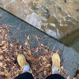 Meet your Posher, William